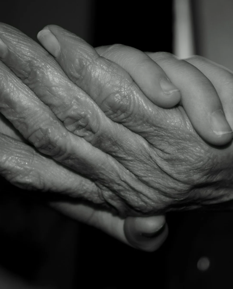 Traces et silences : entre ombre et souvenirs