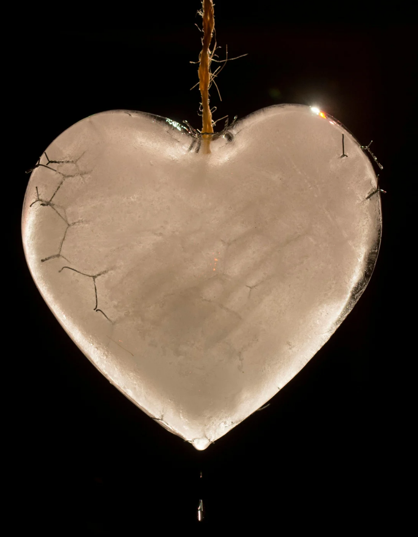 L’envol des enfants : habiter l’absence