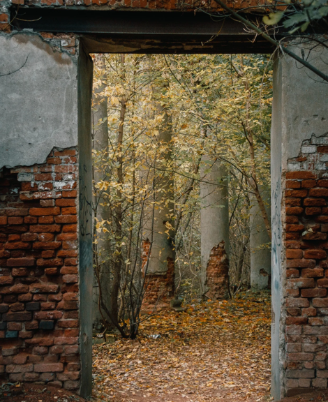L’envol des enfants : habiter l’absence
